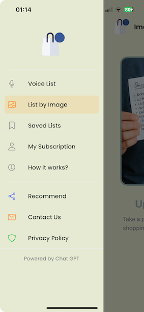 Shopping list management
